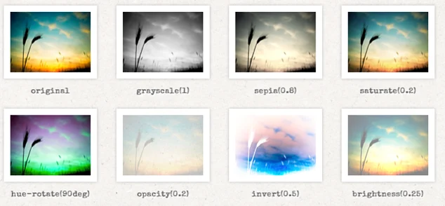 photo-filters.webp