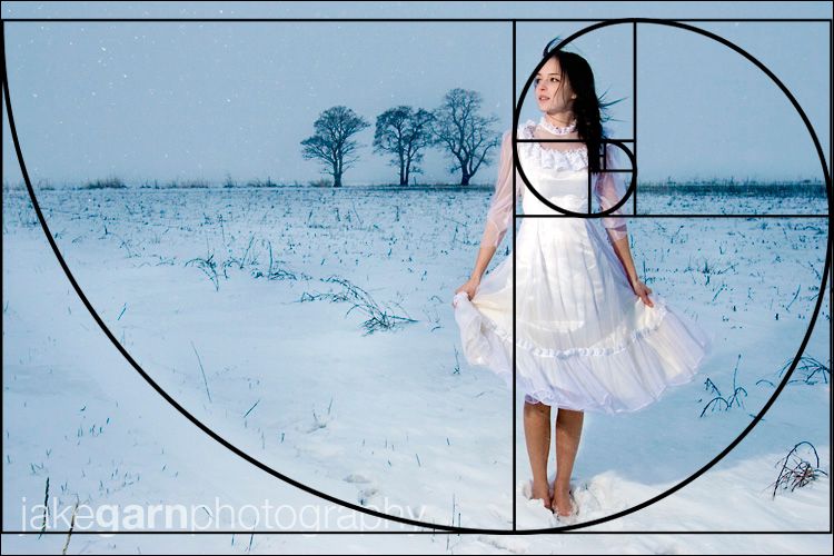 Золотое-сечение2